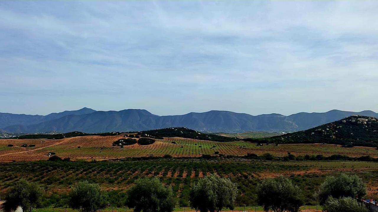 ホテル D'Vino Valle De Guadalupe エンセナダ エクステリア 写真
