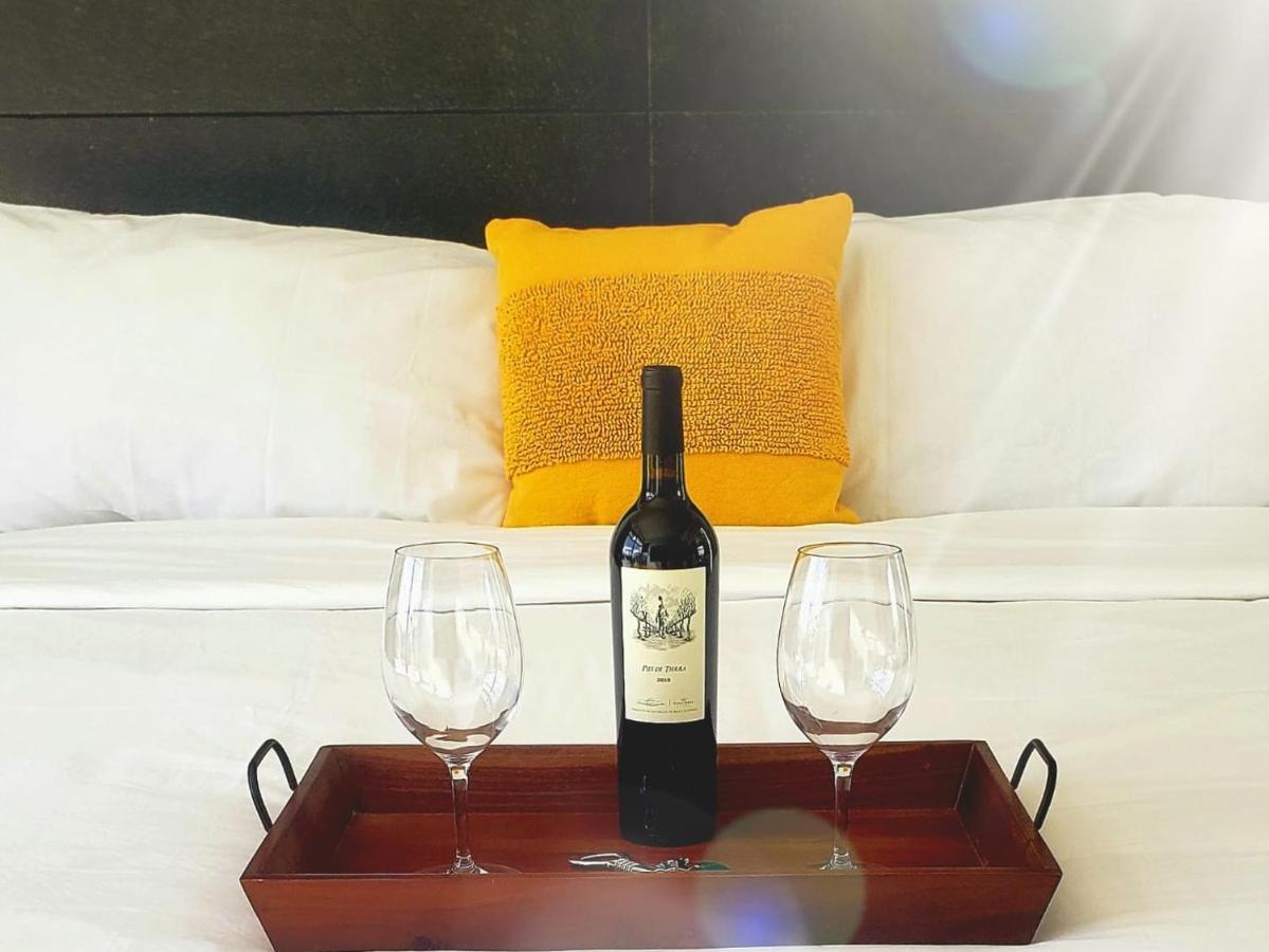 ホテル D'Vino Valle De Guadalupe エンセナダ エクステリア 写真